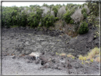 foto Parco nazionale Vulcani delle Hawaii